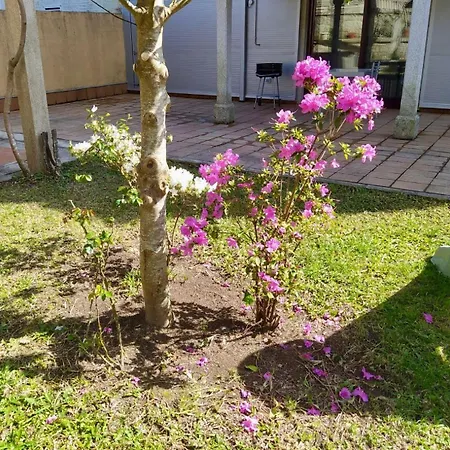 Con Jardin Y Piscina Temporada Verano Privados * Самиера