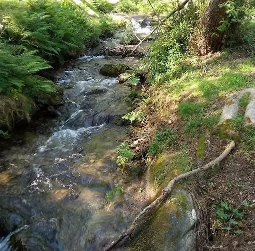 Con Jardin Y Piscina Temporada Verano Privados *