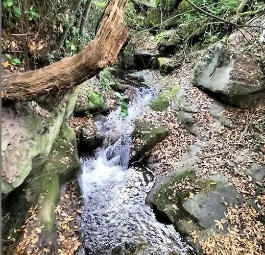 Con Jardin Y Piscina Temporada Verano Privados Διαμέρισμα *