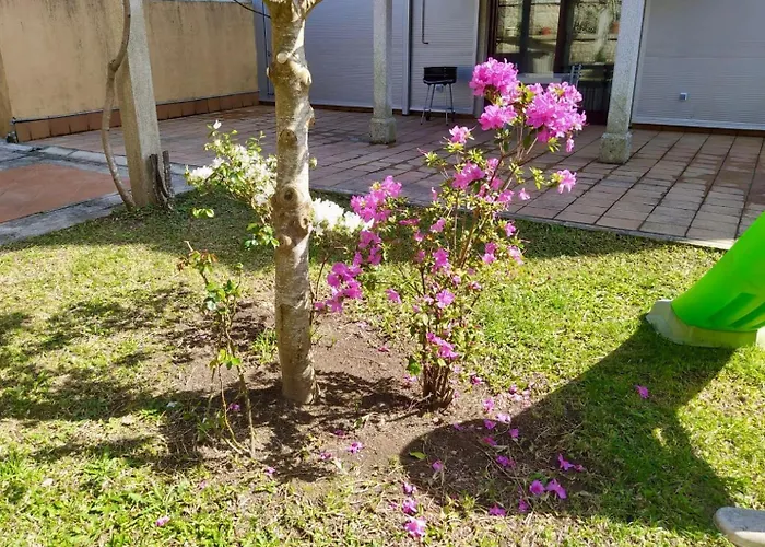 Con Jardin Y Piscina Temporada Verano Privados * Samieira